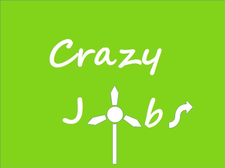 crazy jobs