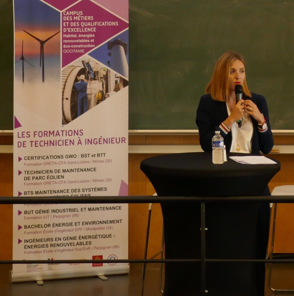 Pitch réseaux énergétique &smart grids par Delphine BESSON